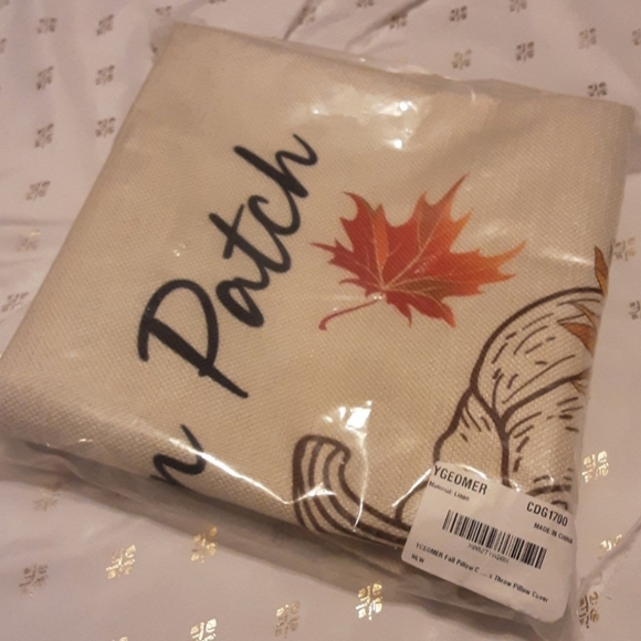 NEW Set of 4 Fall/Thanksgiving Pillowcovers - gnomes, Fall colors - Picture 11 of 11